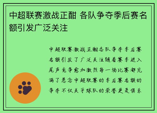 中超联赛激战正酣 各队争夺季后赛名额引发广泛关注