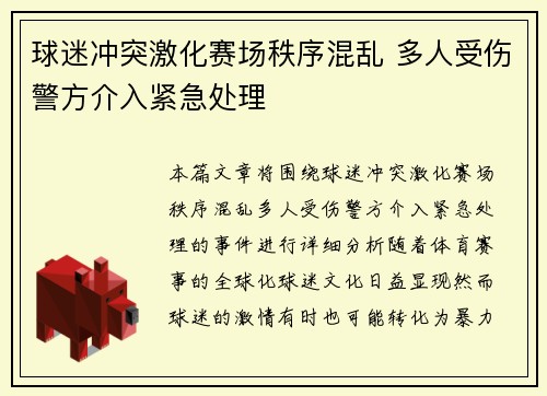 球迷冲突激化赛场秩序混乱 多人受伤警方介入紧急处理